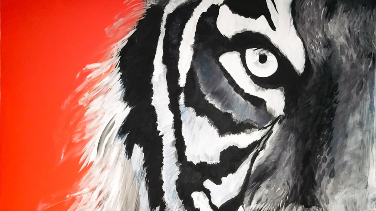 Half of a black and white hand painted Tiger Mural with an orange background, painted by Amy Coney.
